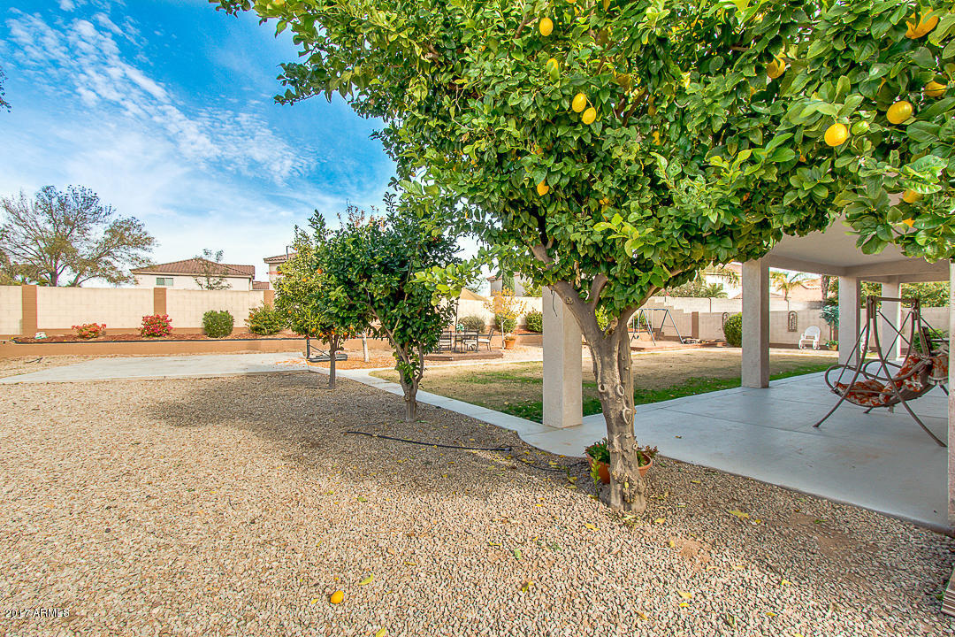 11414 E Queensborough Ave, Mesa, AZ 85212 photo 41