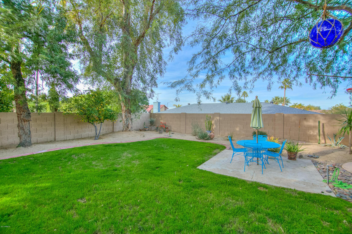 122 E Wood Dr, Phoenix, AZ 85022 photo 38