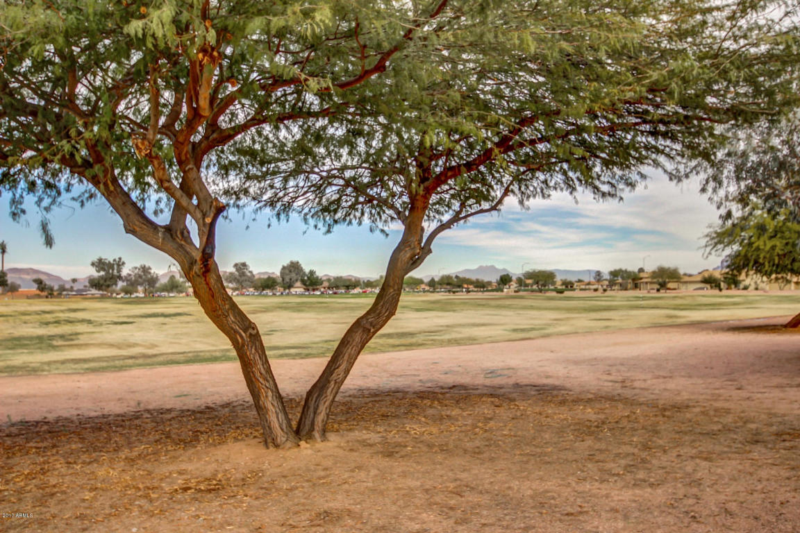 11014 E Monte Ave, Mesa, AZ 85209 photo 26