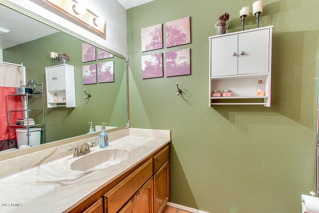 1510 E Jensen St, Mesa, AZ 85203 photo 22
