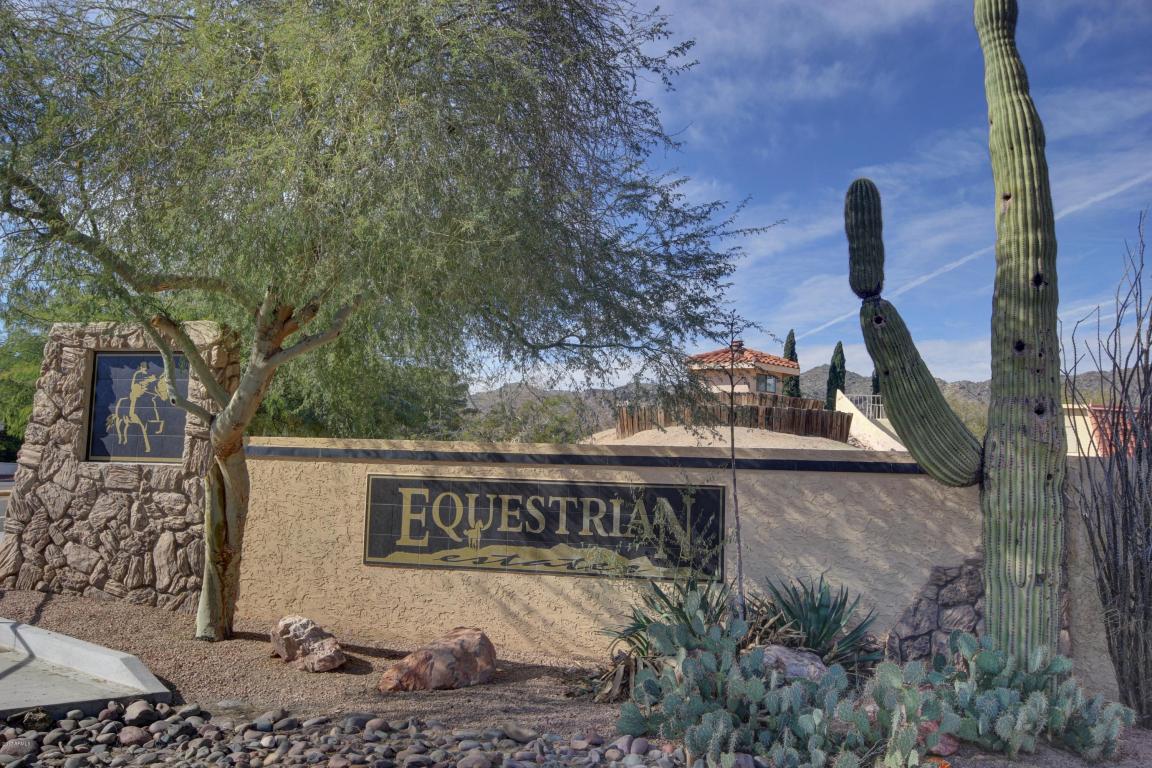 3708 E Dakota Dr, Phoenix, AZ 85044 photo 47