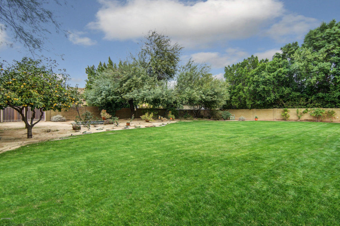 3708 E Dakota Dr, Phoenix, AZ 85044 photo 4