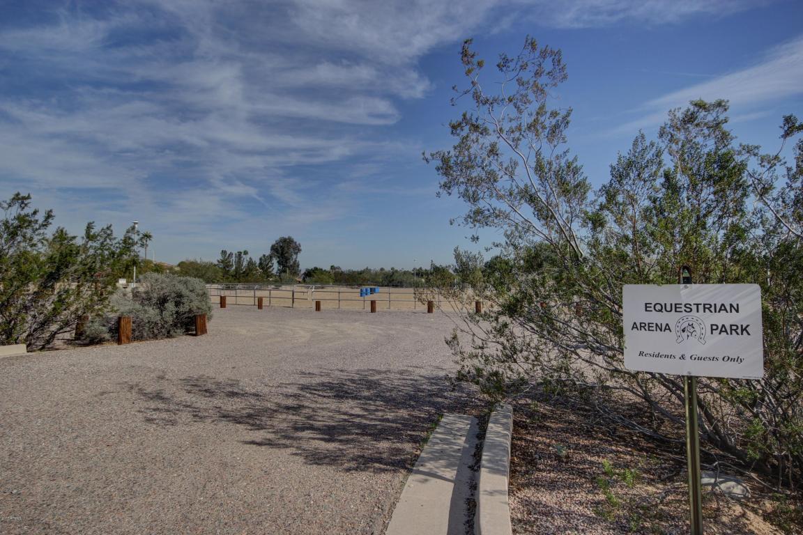 3708 E Dakota Dr, Phoenix, AZ 85044 photo 49