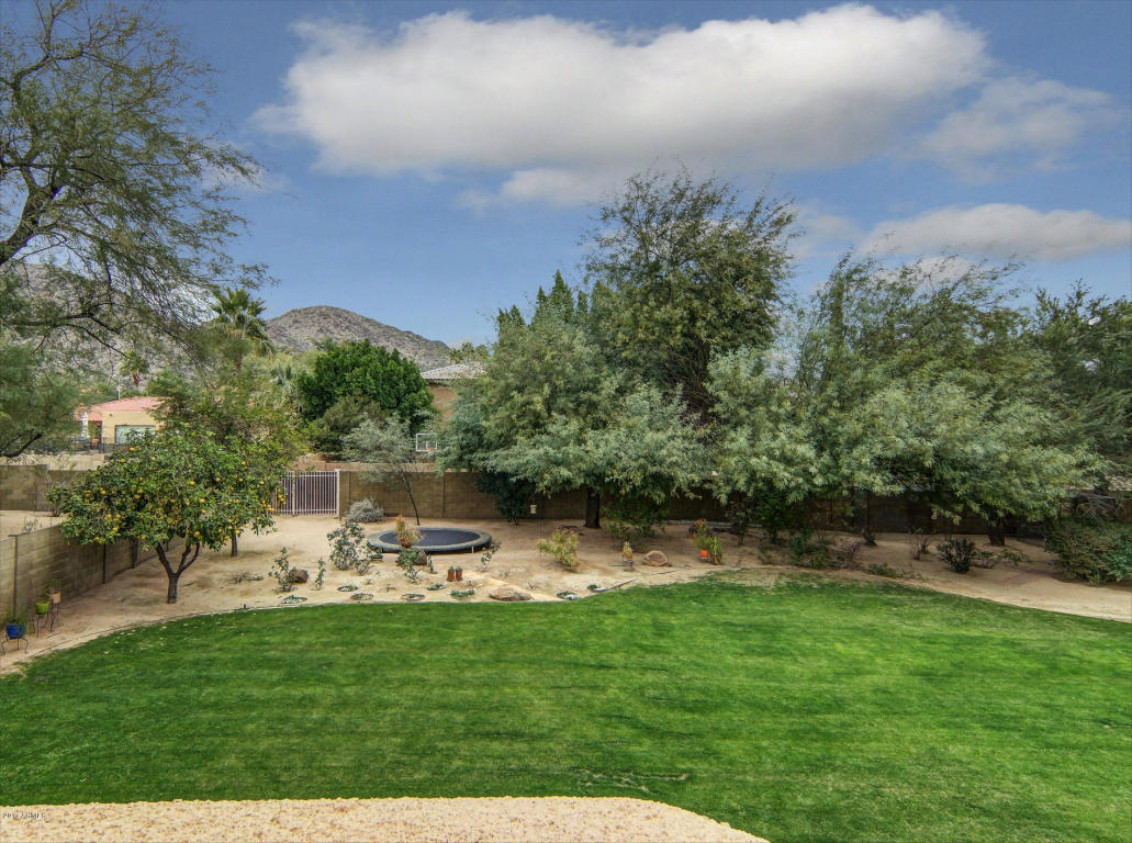 3708 E Dakota Dr, Phoenix, AZ 85044 photo 1
