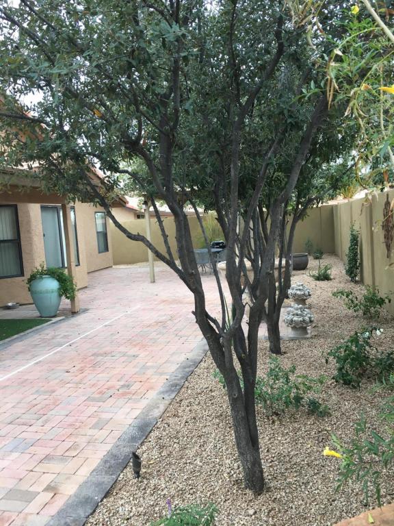5454 Emerald Ave, Mesa, AZ 85206 photo 28