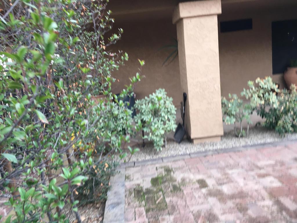 5454 Emerald Ave, Mesa, AZ 85206 photo 4