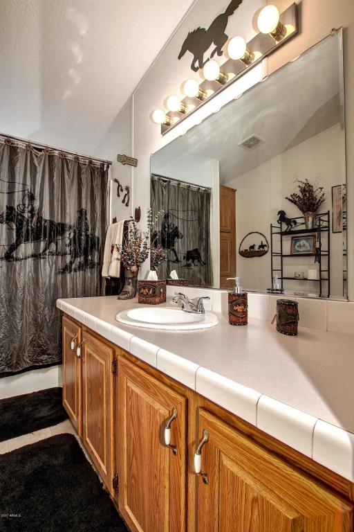 2903 S 165th Ave, Goodyear, AZ 85338 photo 28
