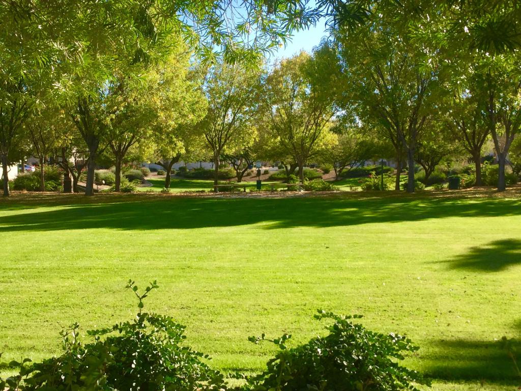 8738 E Kilarea Ave, Mesa, AZ 85209 photo 25