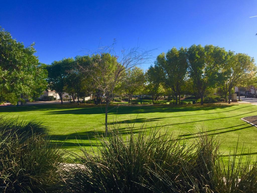 8738 E Kilarea Ave, Mesa, AZ 85209 photo 26