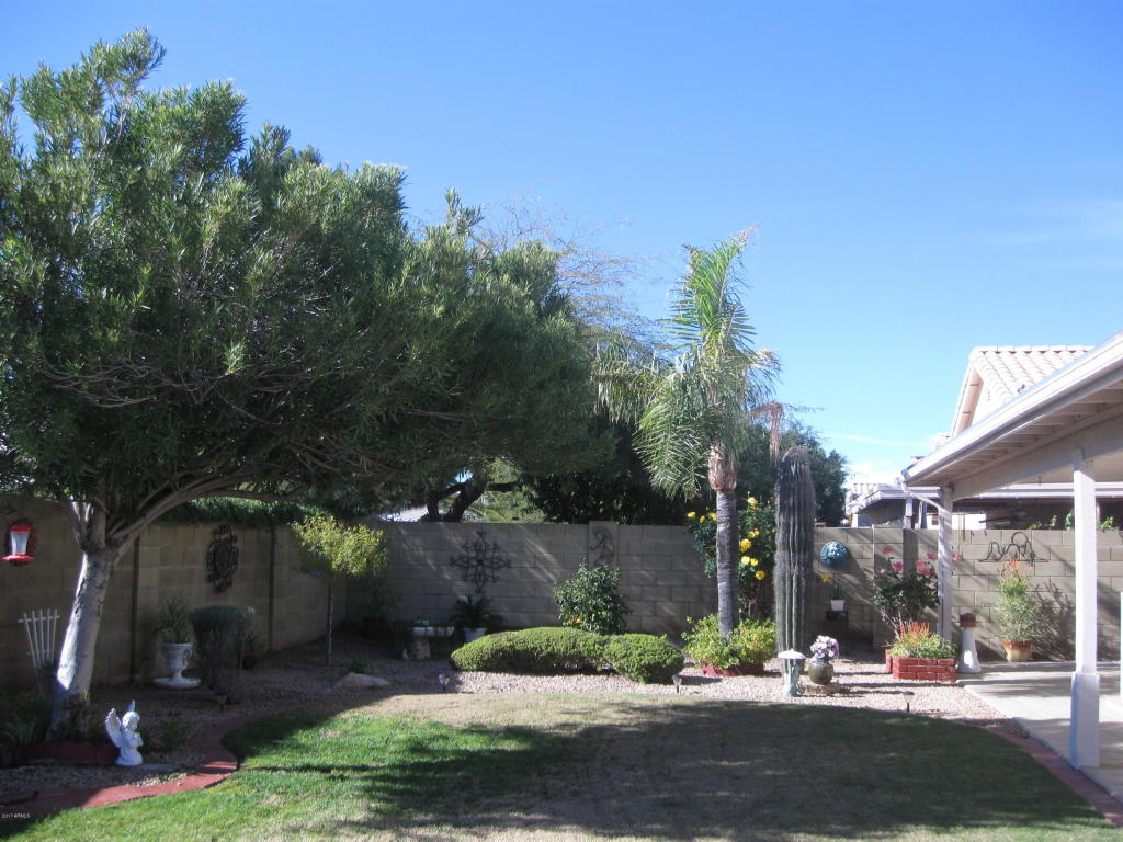 3541 E Kerry Ln, Phoenix, AZ 85050 photo 37