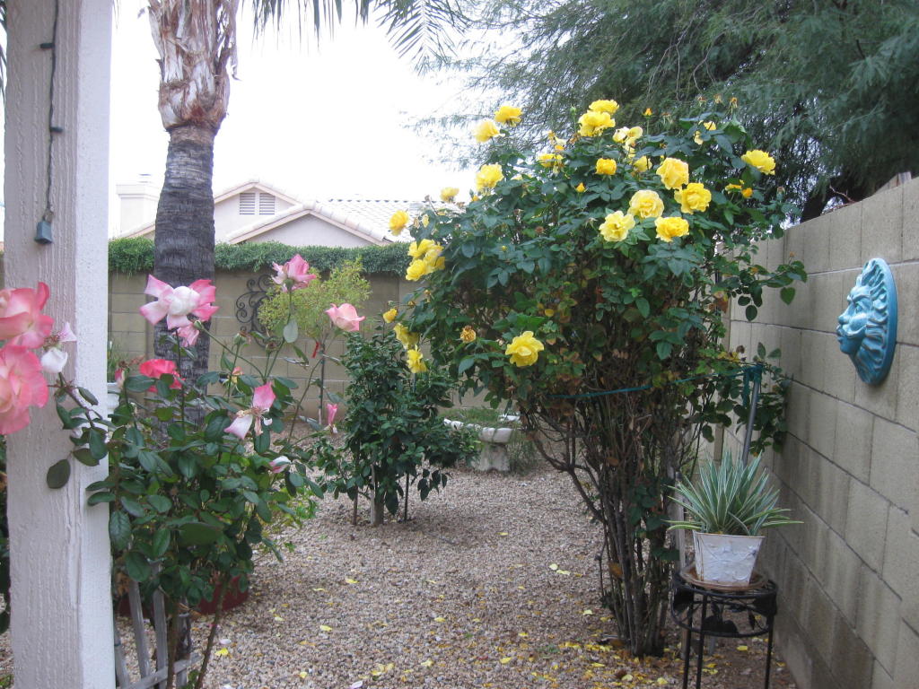 3541 E Kerry Ln, Phoenix, AZ 85050 photo 44
