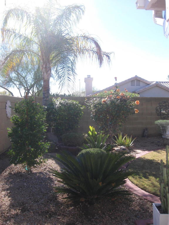 3541 E Kerry Ln, Phoenix, AZ 85050 photo 38