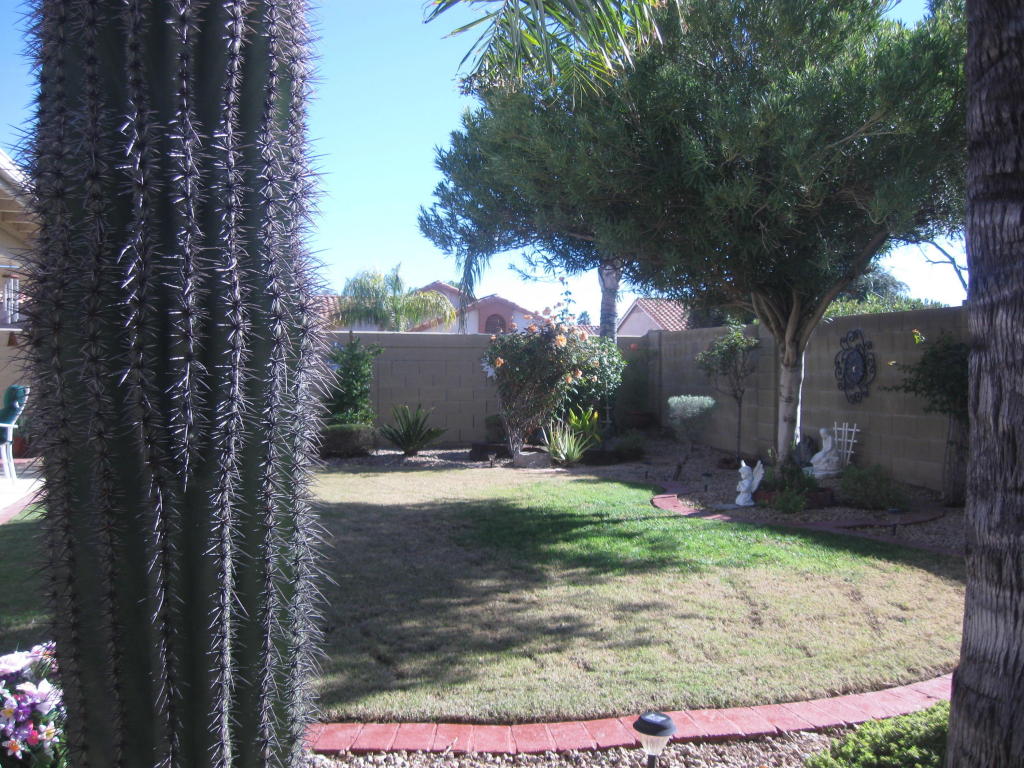 3541 E Kerry Ln, Phoenix, AZ 85050 photo 35