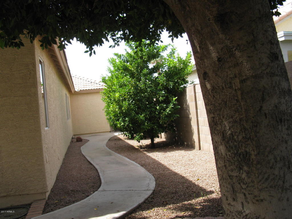 16601 N 4th Ave, Phoenix, AZ 85023 photo 4