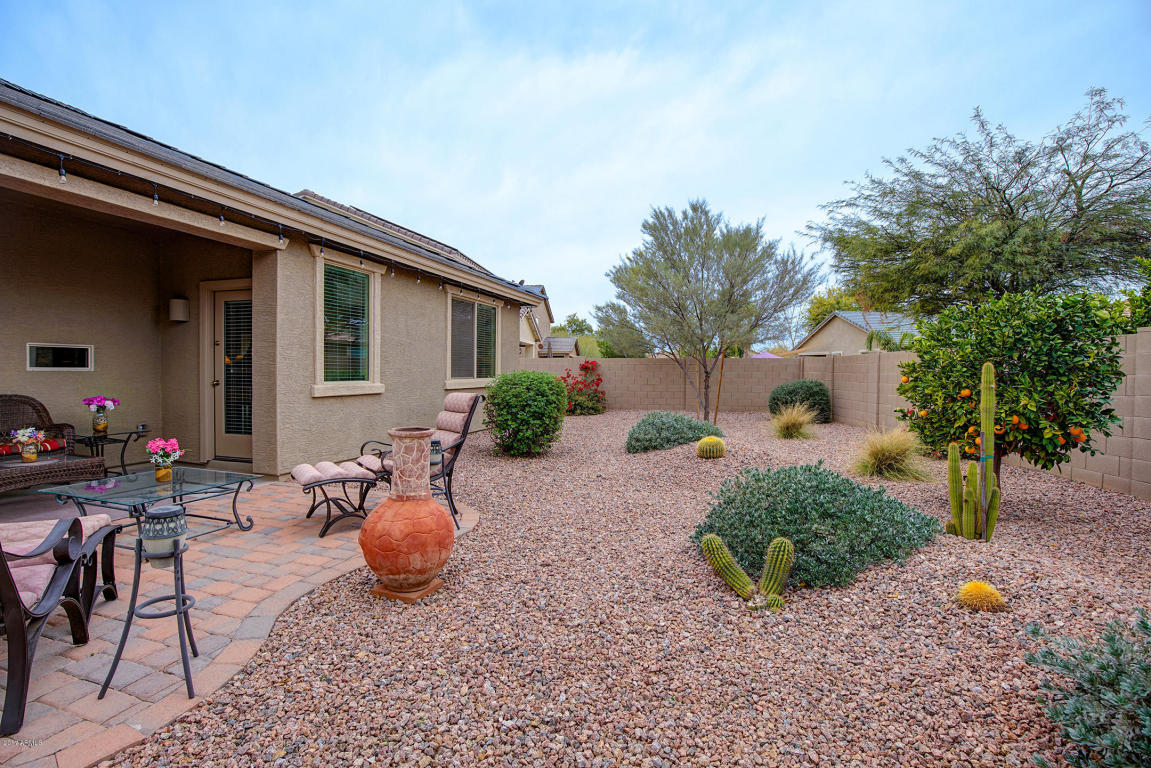 11038 E Sebring Ave, Mesa, AZ 85212 photo 25