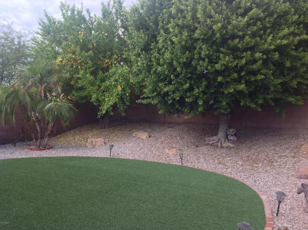 906 E Blackhawk Dr, Phoenix, AZ 85024 photo 18