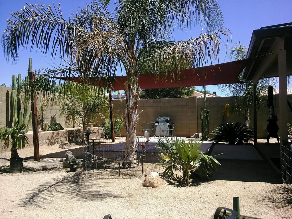 2954 E Blackhawk Dr, Phoenix, AZ 85050 photo 3