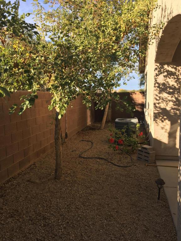 3798 E Flower Ct, Gilbert, AZ 85298 photo 11