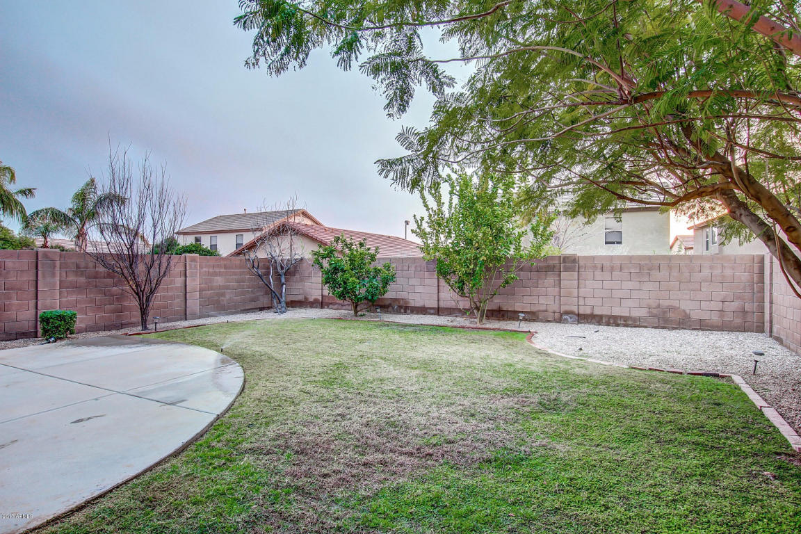 3629 E Monona Dr, Phoenix, AZ 85050 photo 25