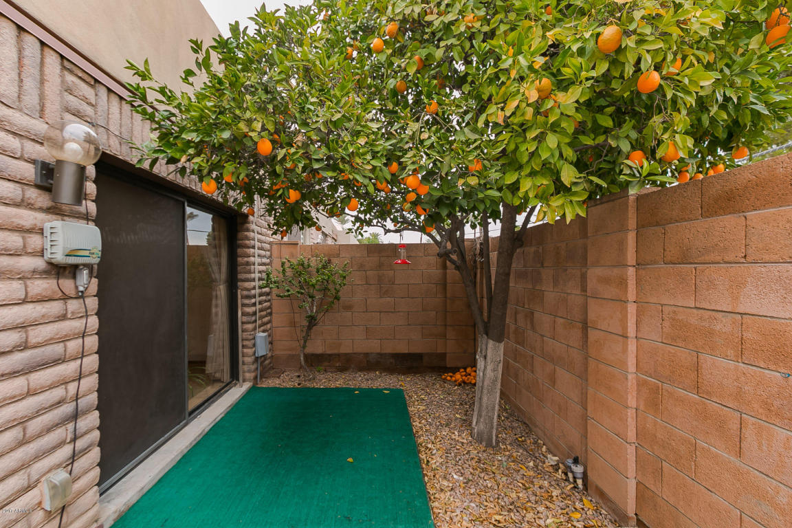 7111 N 11th Dr, Phoenix, AZ 85021 photo 30