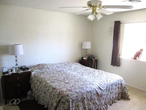 11215 E Kiowa Cir, Mesa, AZ 85209 photo 6