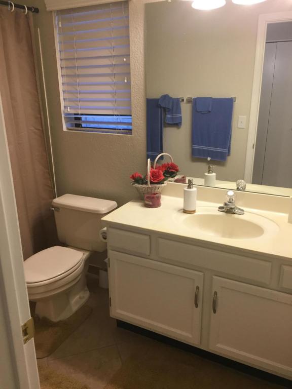 3030 E Lockwood St, Mesa, AZ 85213 photo 16