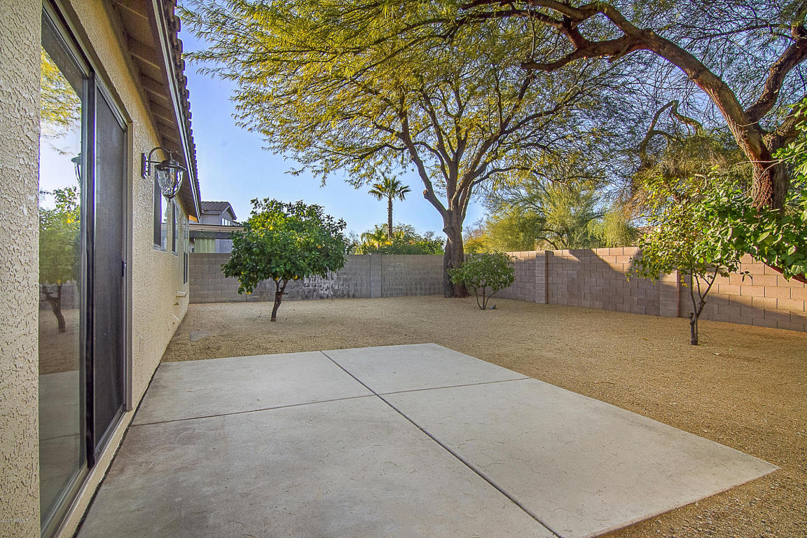 4026 E Rowel Rd, Phoenix, AZ 85050 photo 35