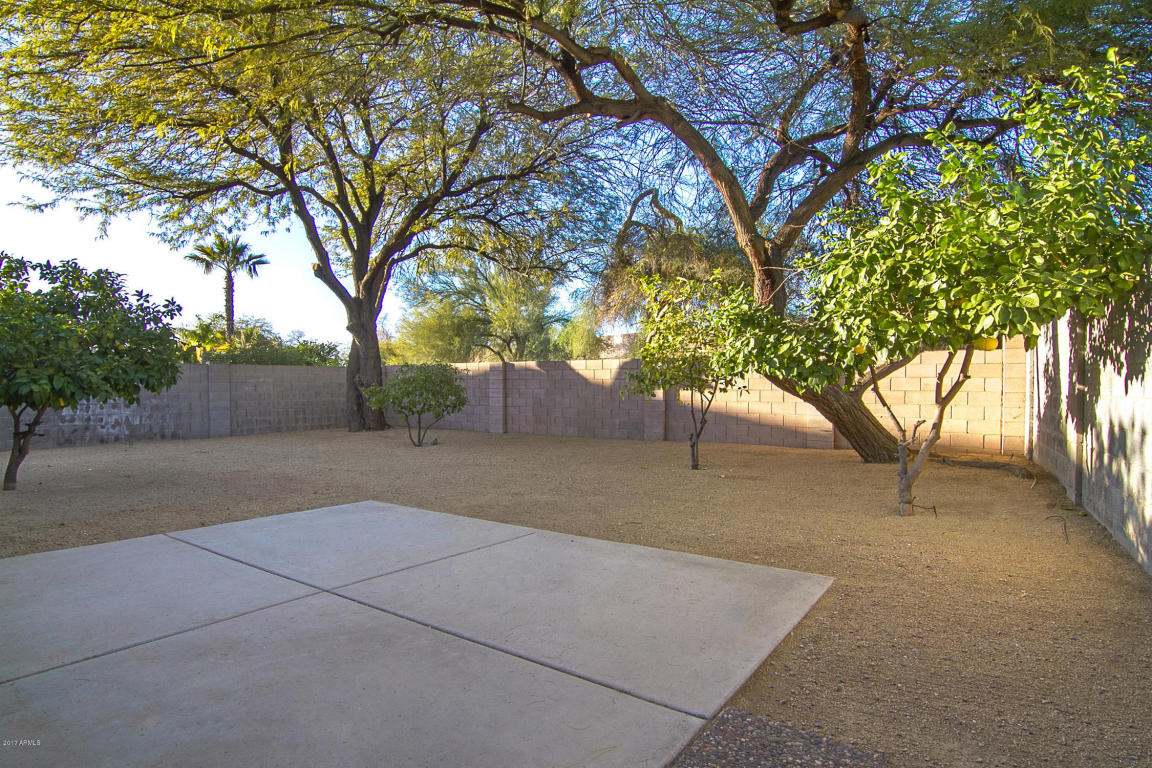 4026 E Rowel Rd, Phoenix, AZ 85050 photo 36