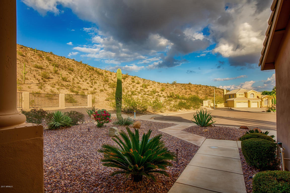 16202 S 24th Way, Phoenix, AZ 85048 photo 3
