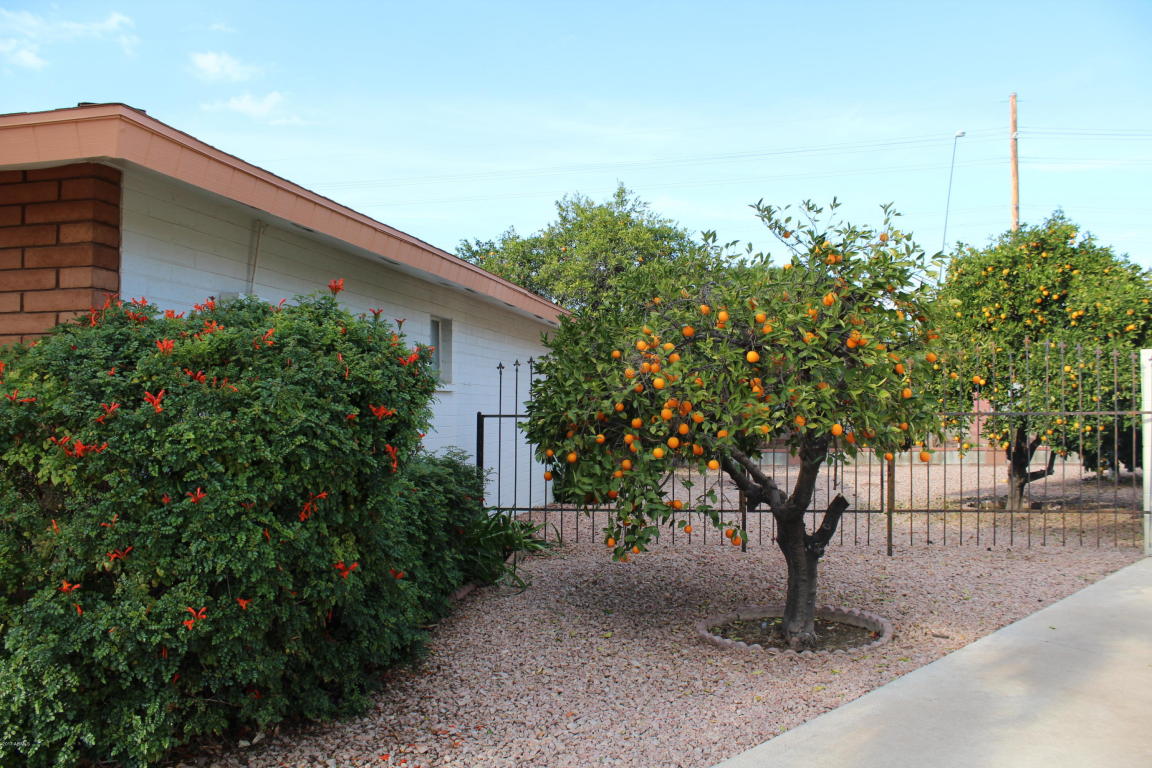4232 E Calypso Ave, Mesa, AZ 85206 photo 5