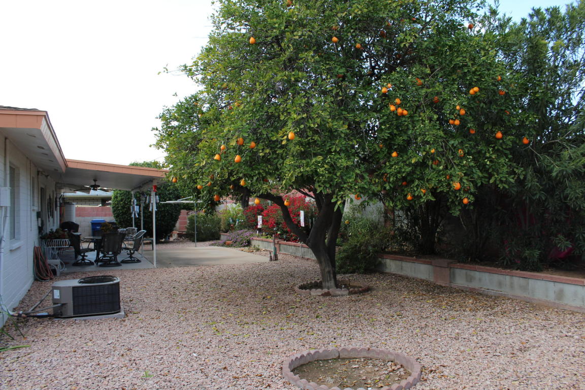 4232 E Calypso Ave, Mesa, AZ 85206 photo 9