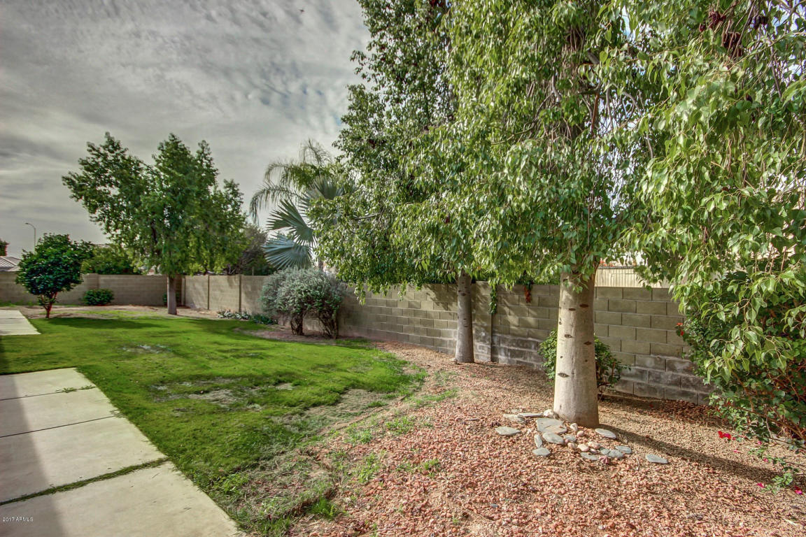 710 N Yale --, Mesa, AZ 85213 photo 24