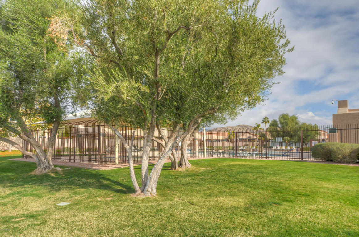 2212 E Granite View Dr, Phoenix, AZ 85048 photo 6