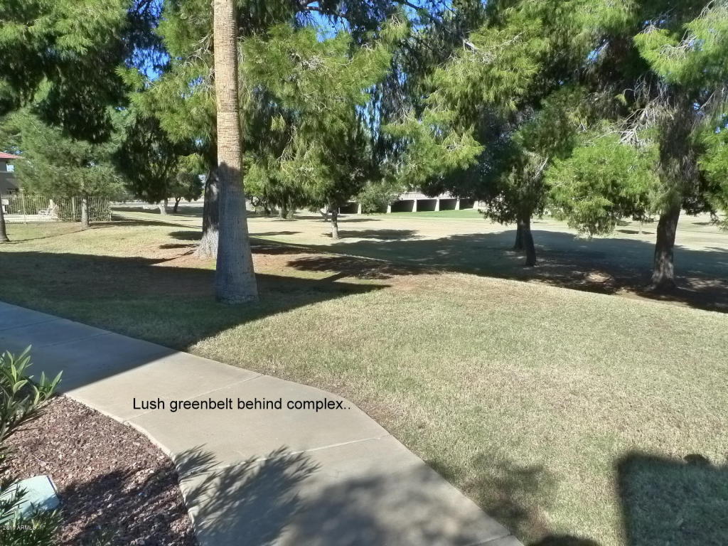 4050 E Cactus Rd #103, Phoenix, AZ 85032 photo 34