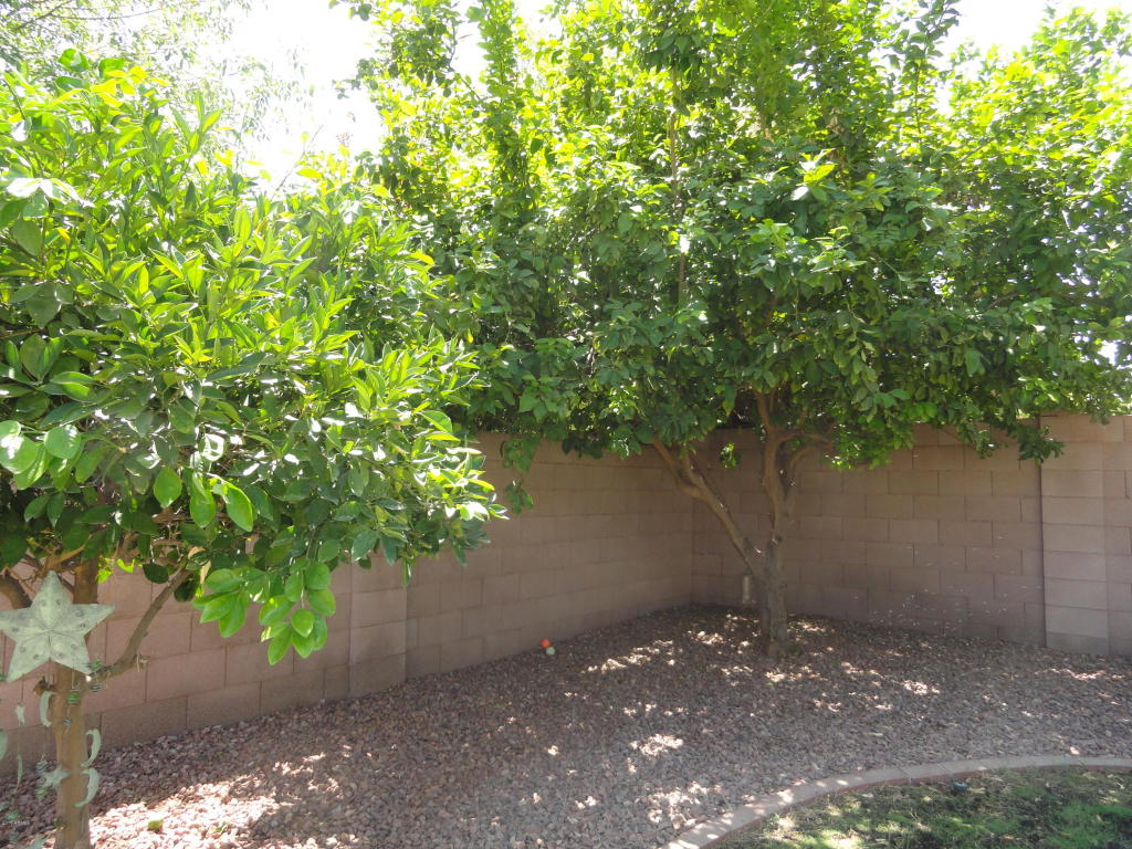 3863 E Cullumber St, Gilbert, AZ 85234 photo 42