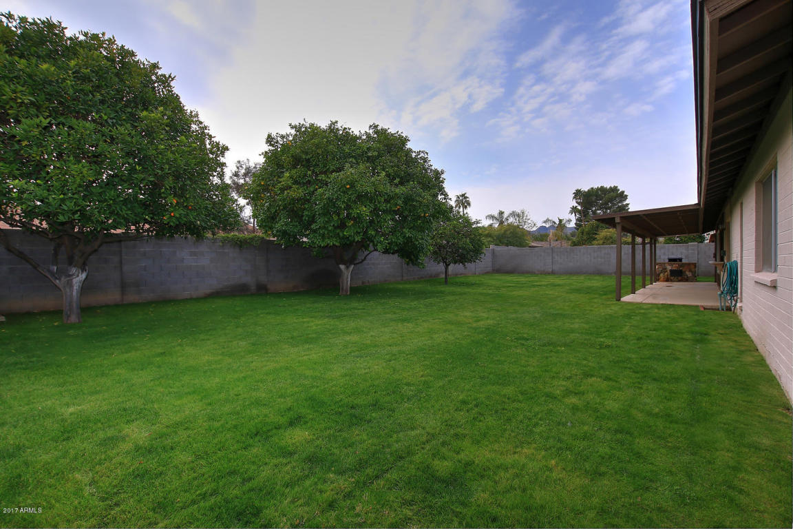 2619 E Christy Dr, Phoenix, AZ 85028 photo 28
