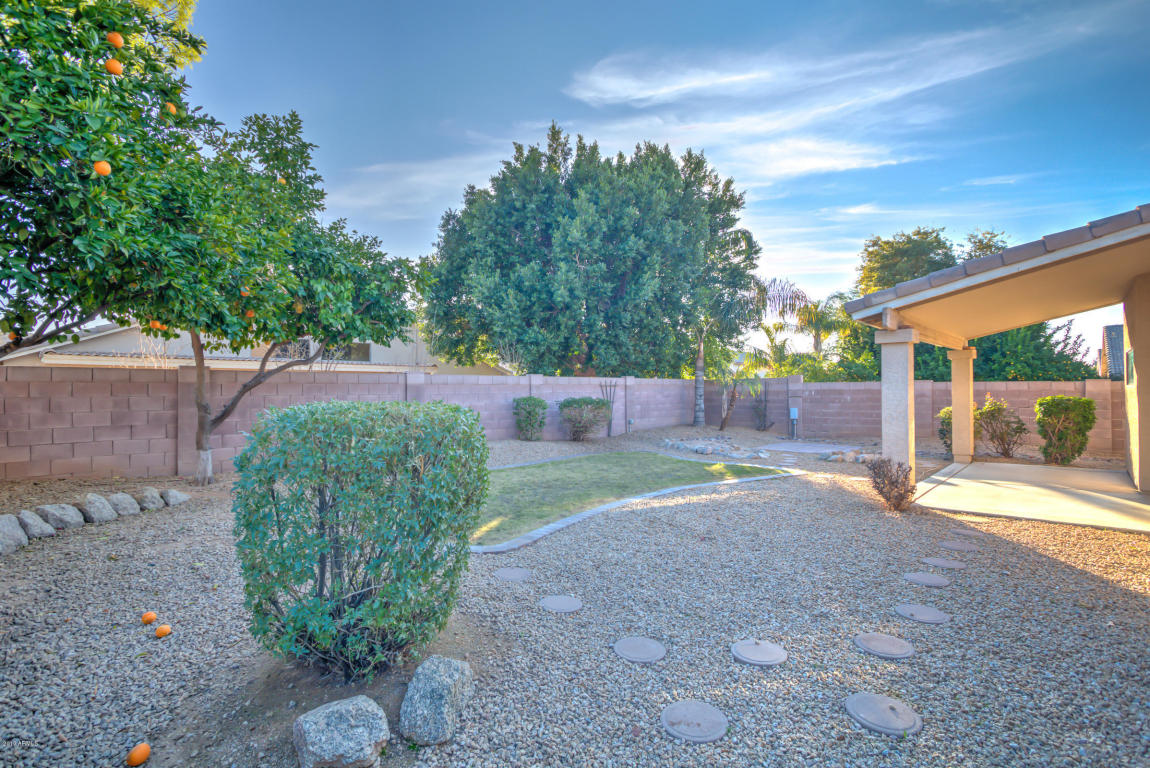 4121 E Paso Trl, Phoenix, AZ 85050 photo 33