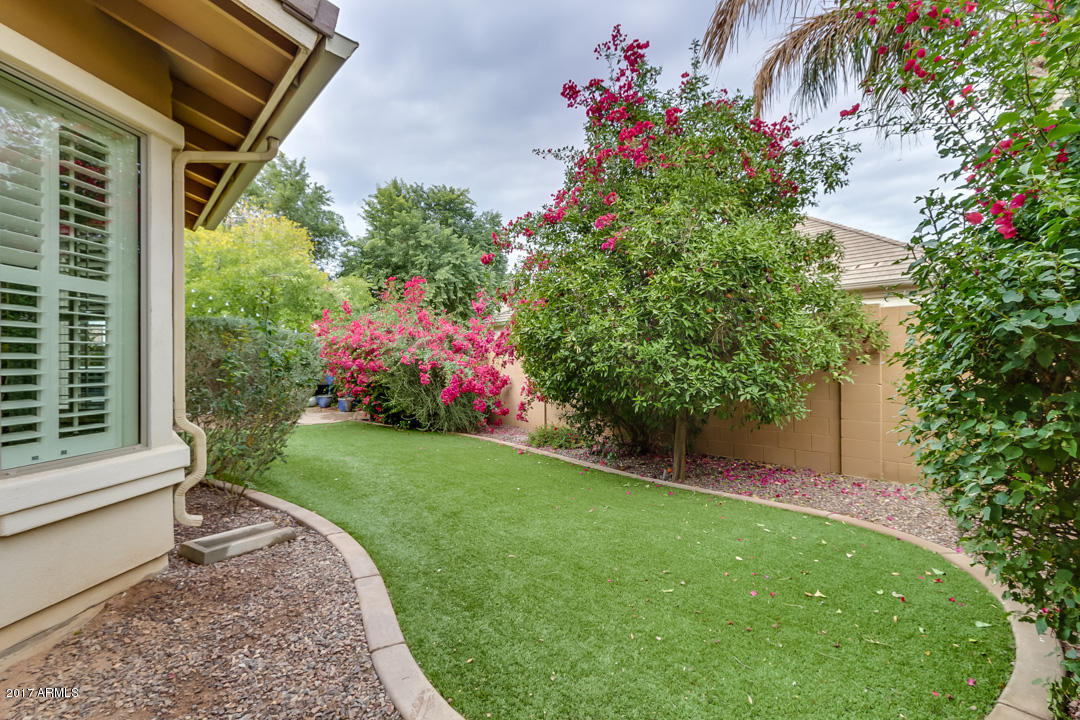 3146 E Marlene Dr, Gilbert, AZ 85296 photo 65