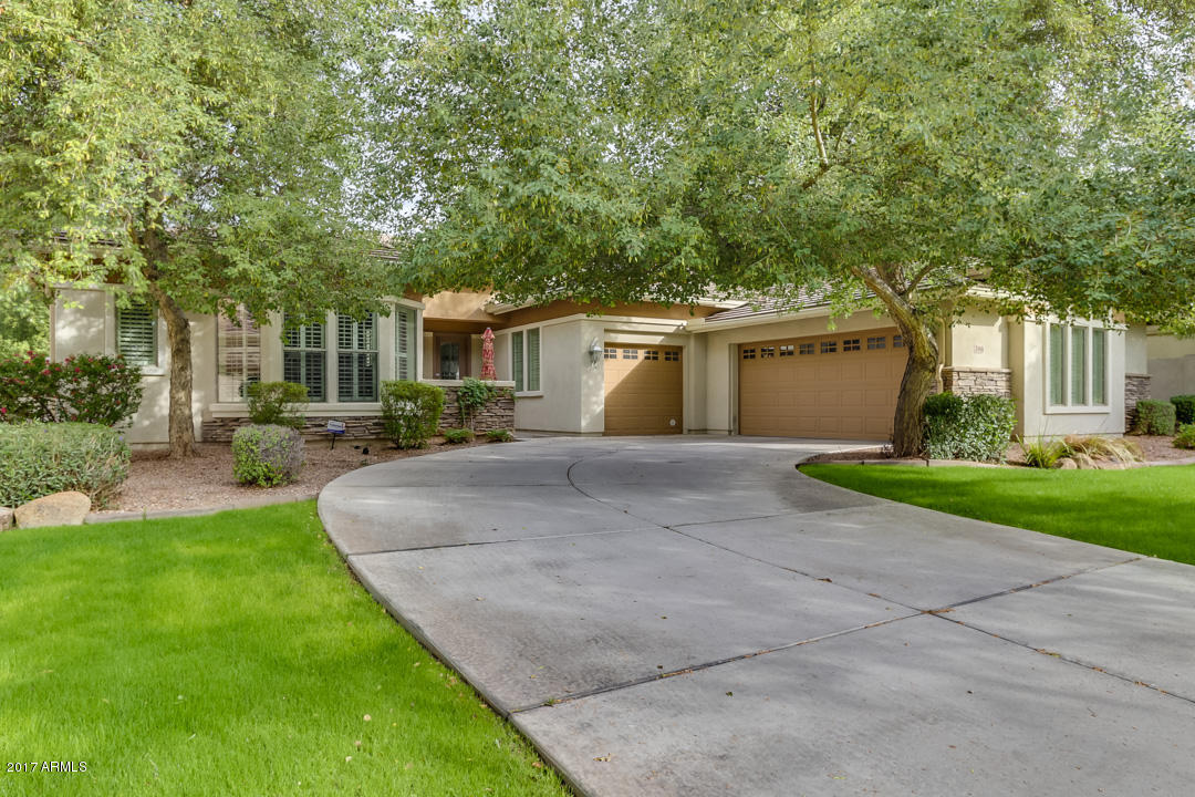 3146 E Marlene Dr, Gilbert, AZ 85296 photo 2