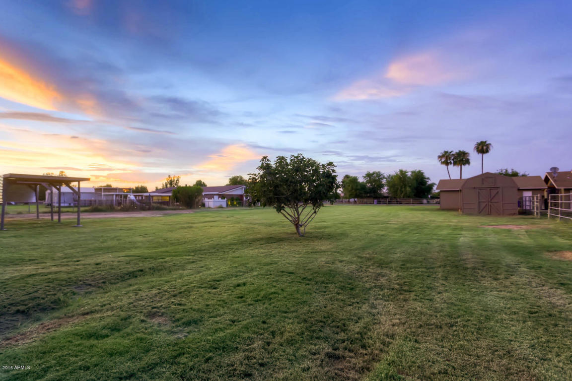 1321 E Mesquite St, Gilbert, AZ 85296 photo 7