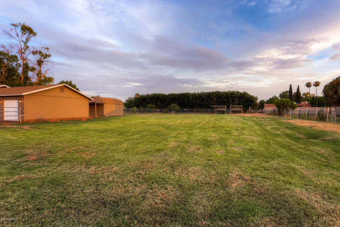 1321 E Mesquite St, Gilbert, AZ 85296 photo 6