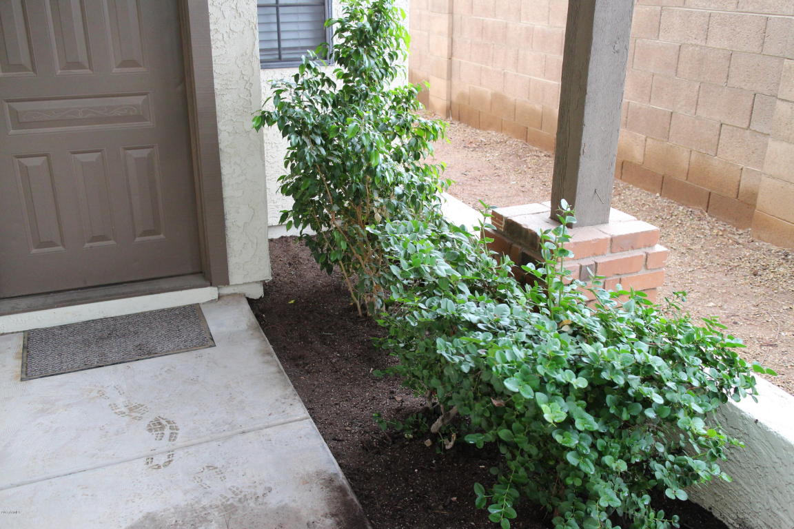 170 E Guadalupe Rd #1, Gilbert, AZ 85234 photo 3