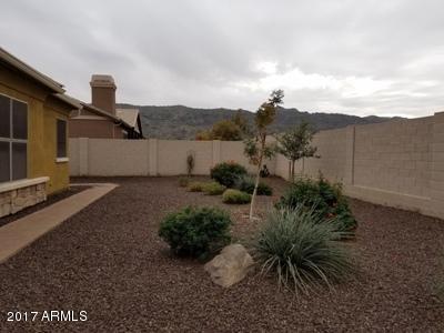 7822 S 31st Pl, Phoenix, AZ 85042 photo 34