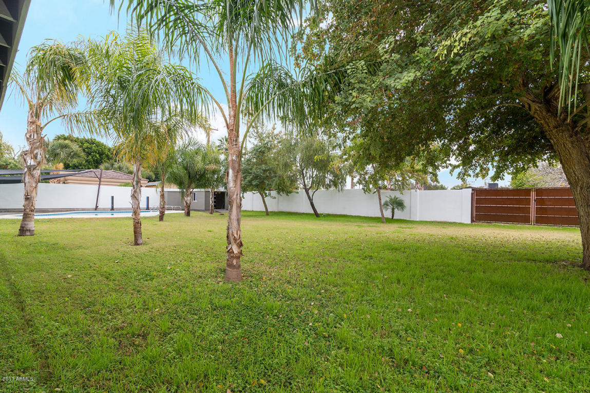 5423 E Osborn Rd, Phoenix, AZ 85018 photo 25