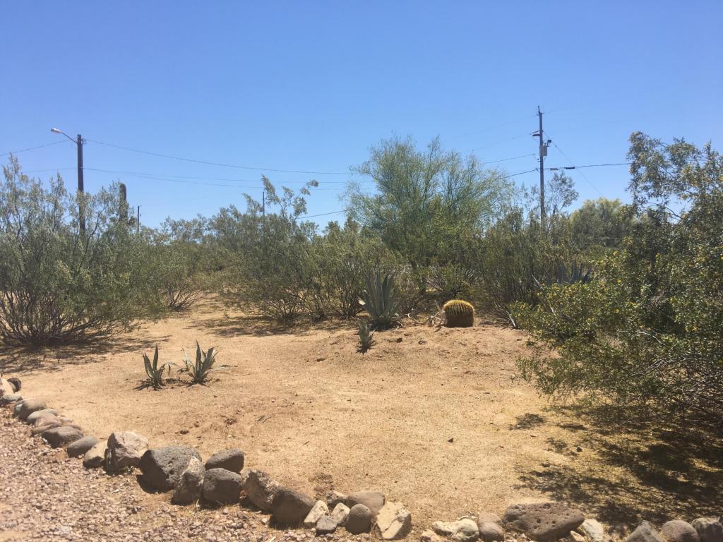 1356 E Cloud Rd, Phoenix, AZ 85086 photo 30
