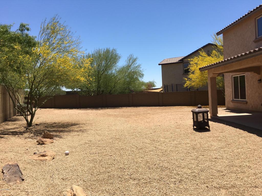 3974 E Waller Ln, Phoenix, AZ 85050 photo 9