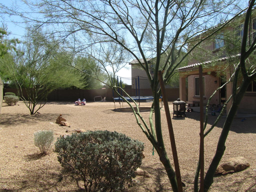 3974 E Waller Ln, Phoenix, AZ 85050 photo 12