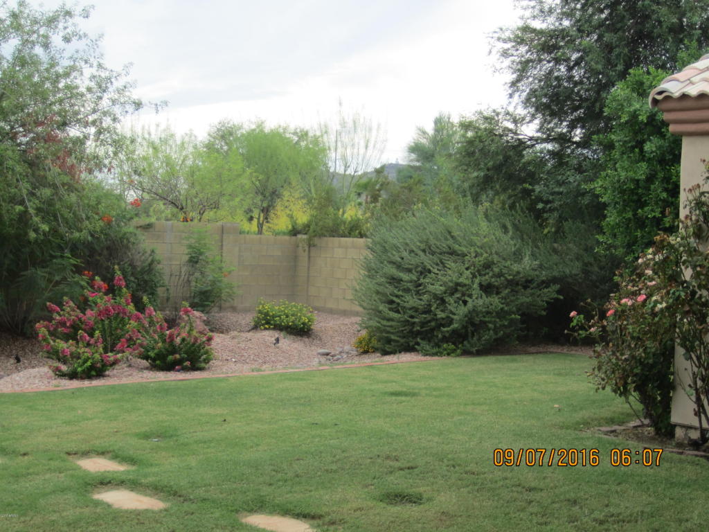 823 E Hearn Rd, Phoenix, AZ 85022 photo 23