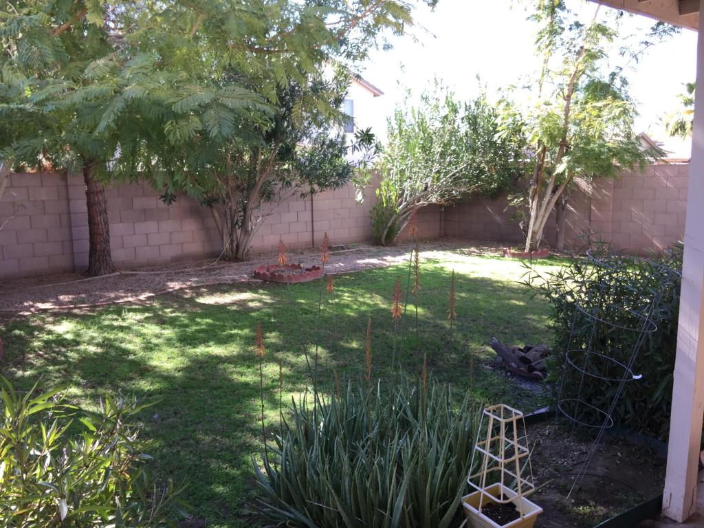 4737 E Silverwood Dr, Phoenix, AZ 85048 photo 25