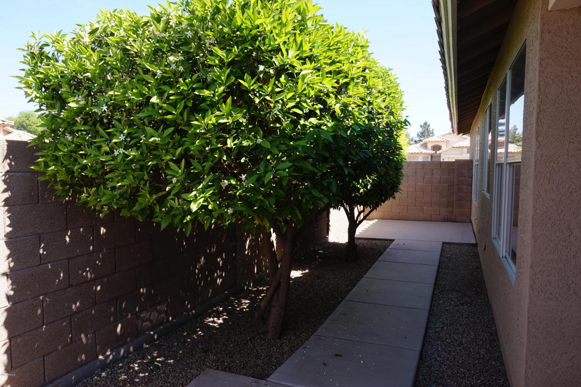 3978 E Douglas Loop, Gilbert, AZ 85234 photo 18